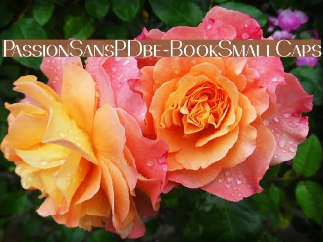 PassionSansPDbe-BookSmallCaps Example 2