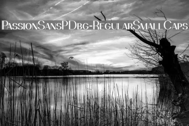 PassionSansPDbg-RegularSmallCaps Шрифта examples