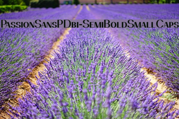PassionSansPDbi-SemiBoldSmallCaps Font examples