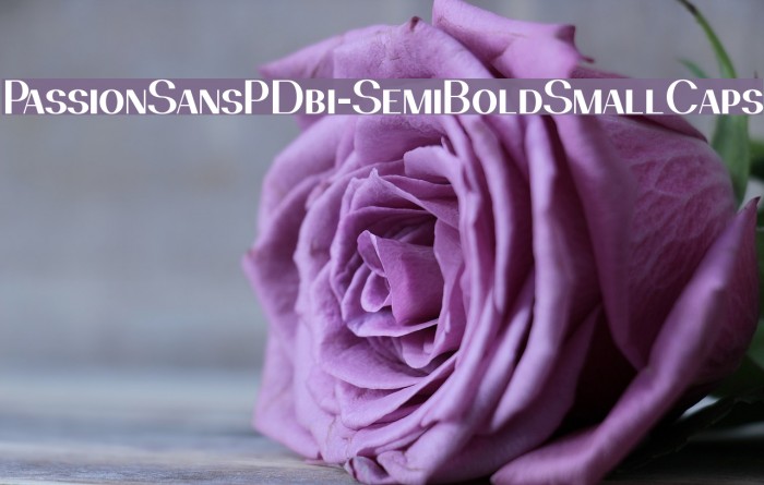 PassionSansPDbi-SemiBoldSmallCaps Font examples