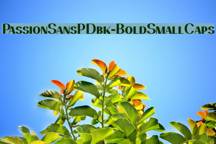 PassionSansPDbk-BoldSmallCaps Font examples