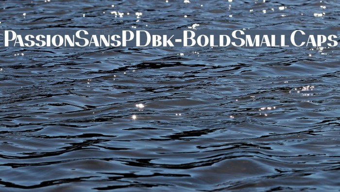 PassionSansPDbk-BoldSmallCaps Font examples