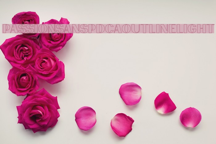 PassionSansPDca-OutlineLight Font examples