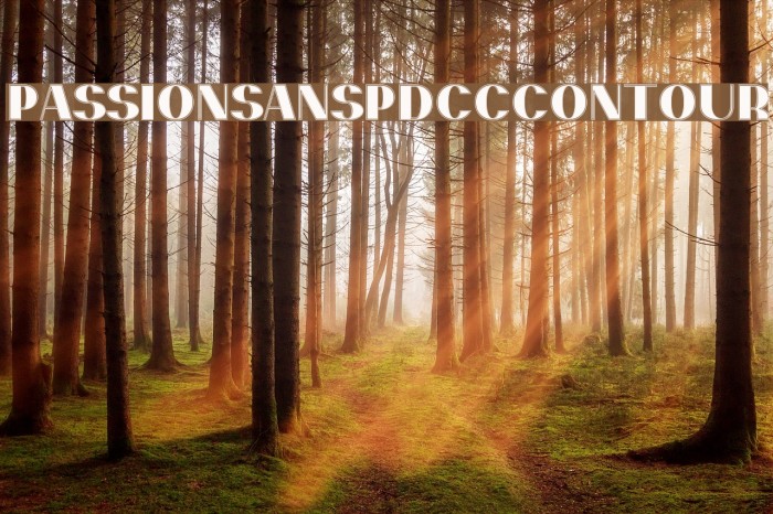 PassionSansPDcc-Contour Example 3