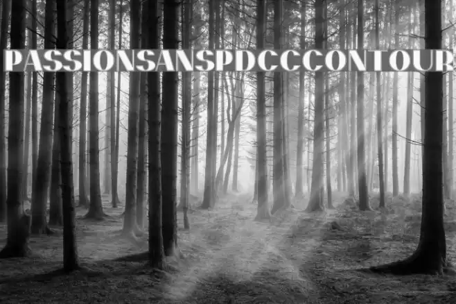 PassionSansPDcc-Contour Font examples