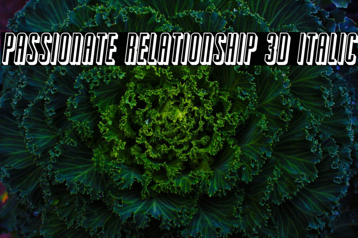 Passionate Relationship 3D Italic Font examples