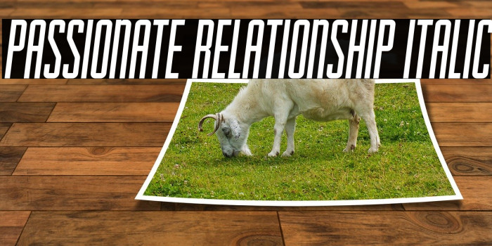 Passionate Relationship Italic Example 1