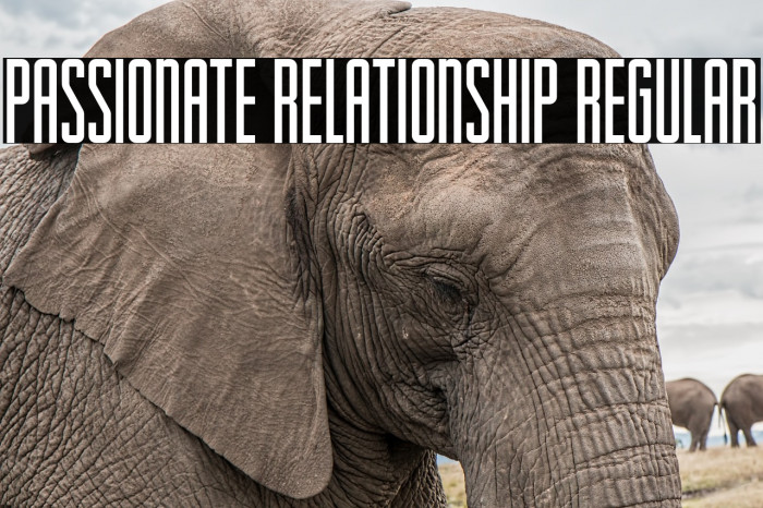 Passionate Relationship Regular Font examples