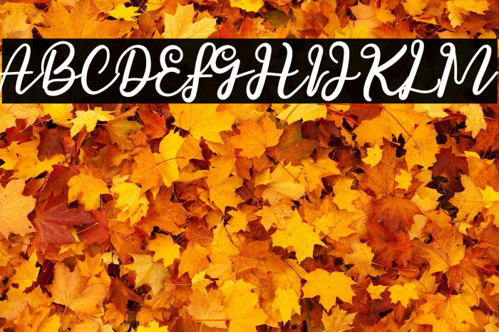 Passionate Example 1