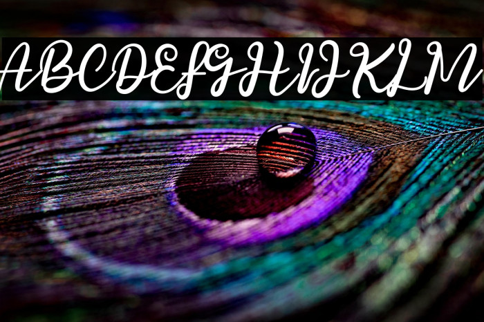 Passionate Example 3