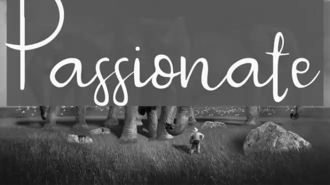 Passionate Font examples