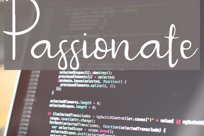 Passionate Example 3