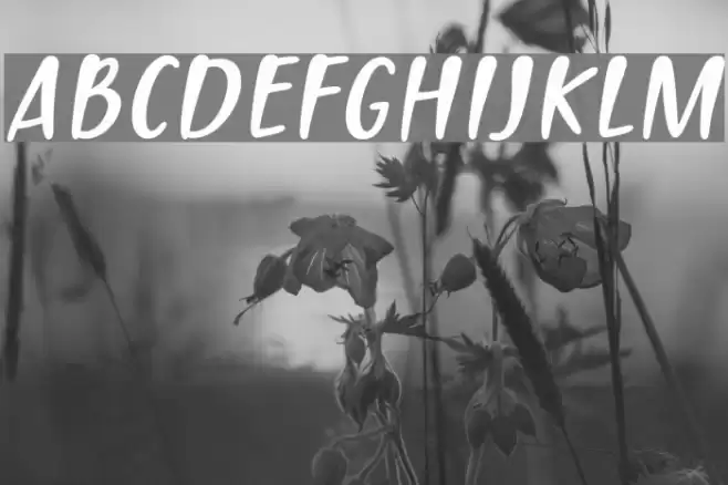 PassiontoActionSlant Font examples