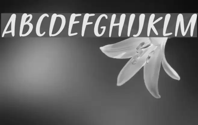 PassiontoActionSlant Font examples