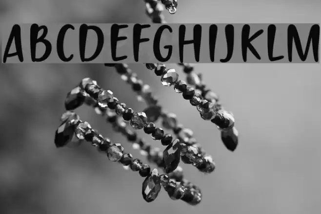 PassiontoAction Font examples