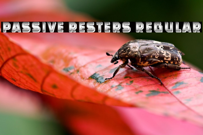 Passive Resters Regular Example 1