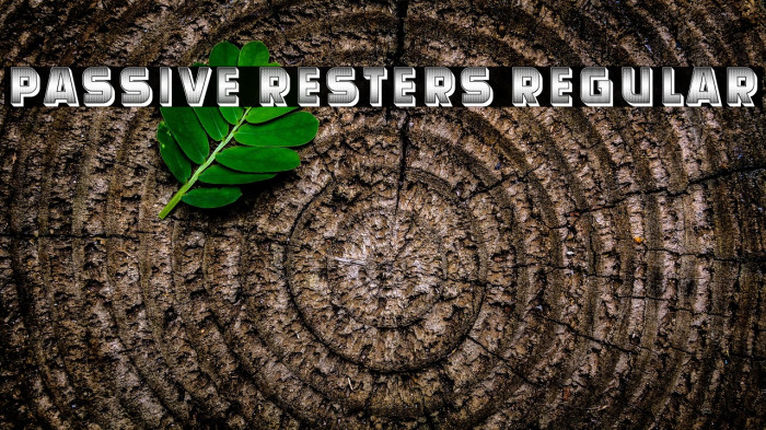 Passive Resters Regular Example 2