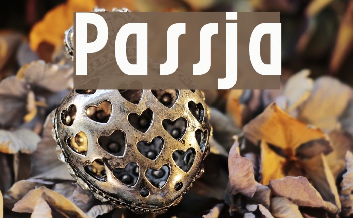 Passja Font examples