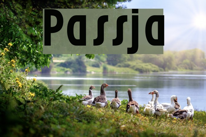 Passja Font examples