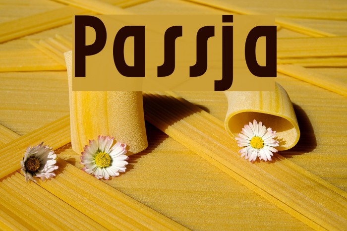 Passja Font examples