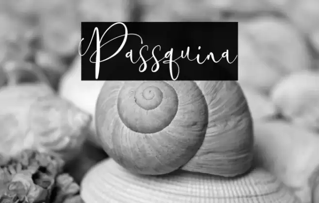 Passquina Font examples