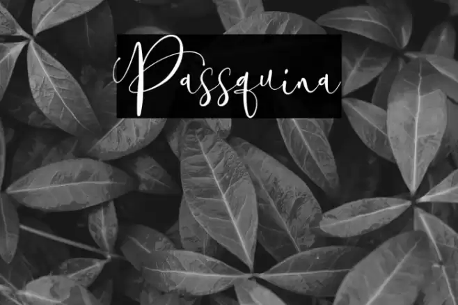 Passquina Font examples