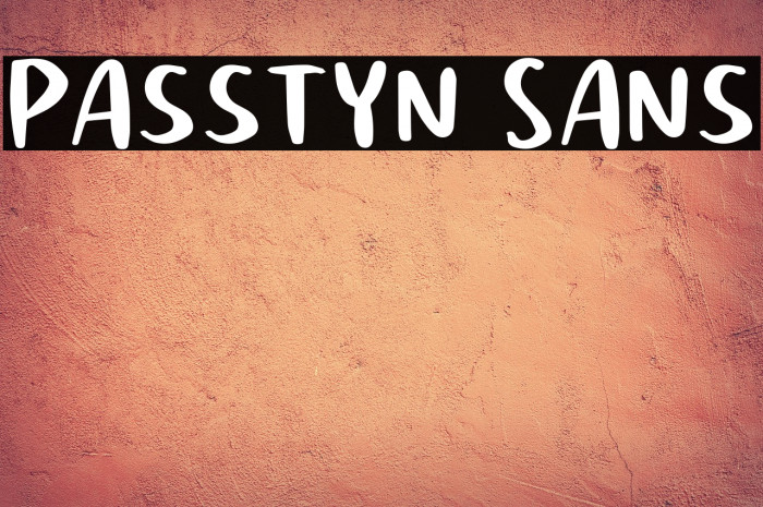 Passtyn Sans Example 2