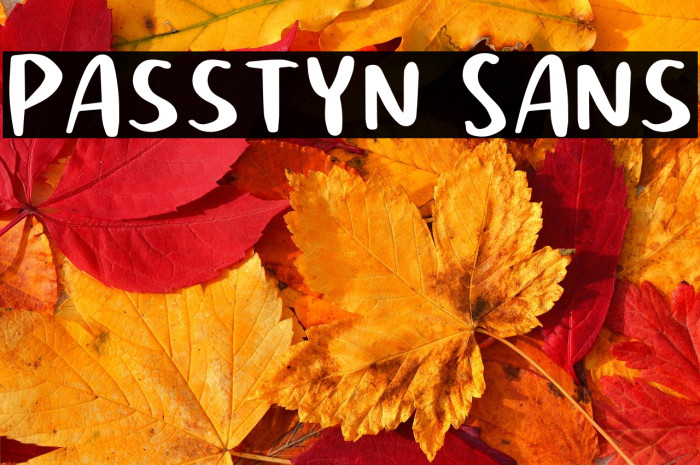 Passtyn Sans Example 3