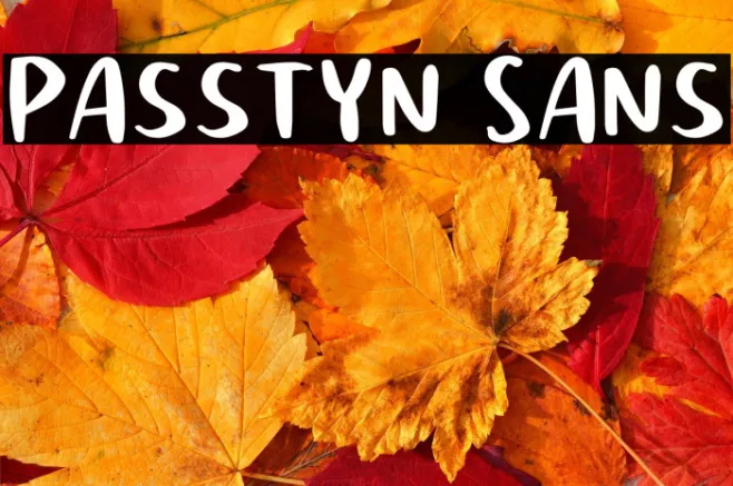 Passtyn Sans Example 3