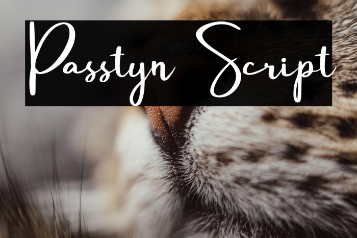 Passtyn Script Example 1