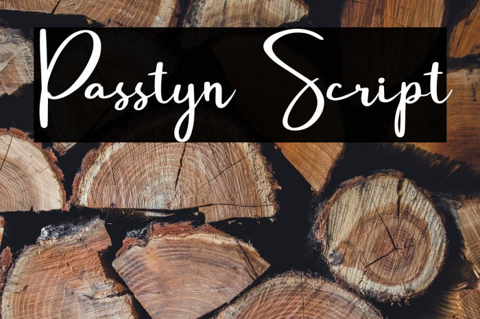 Passtyn Script Example 2