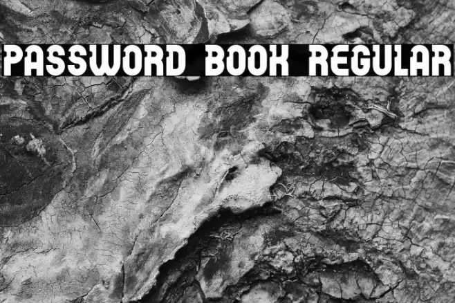 Password Book Regular Font examples