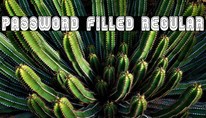 Password Filled Regular Font examples
