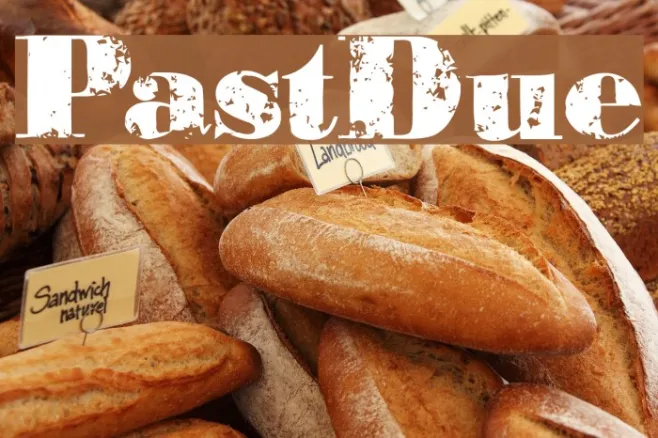 PastDue Example 1
