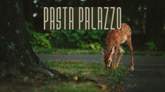 Pasta Palazzo Example 1