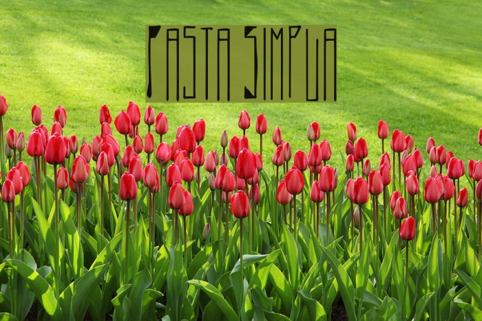 Pasta Simpla Font examples