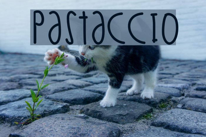 Pastaccio Font examples