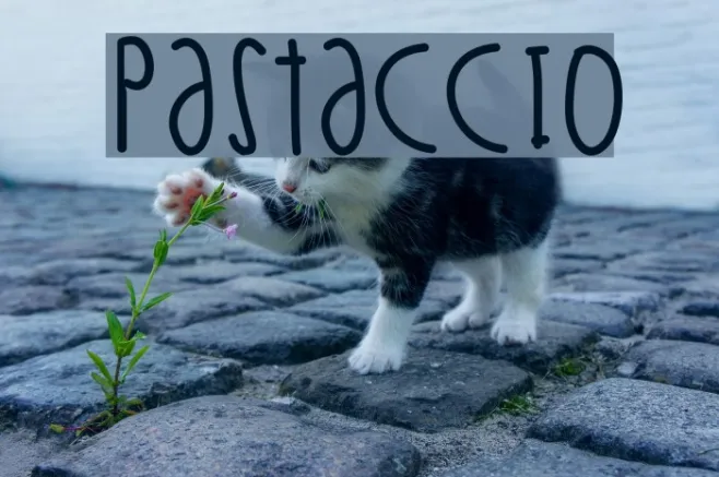 Pastaccio Example 3