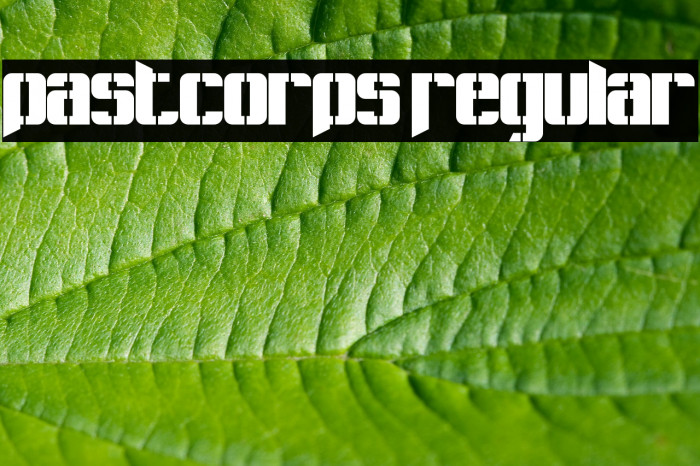 Pastcorps Regular Font examples