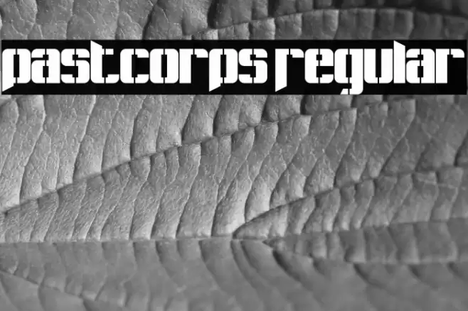 Pastcorps Regular Font examples