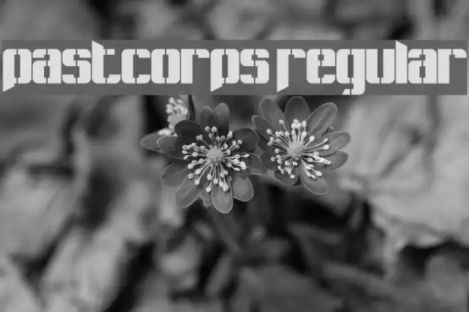 Pastcorps Regular Font examples