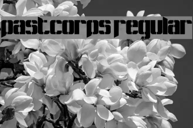 Pastcorps Regular Font examples