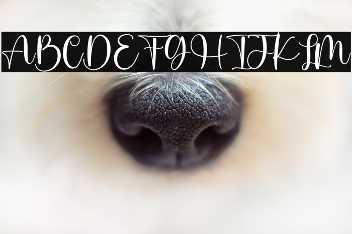 Pastel Candy Example 3