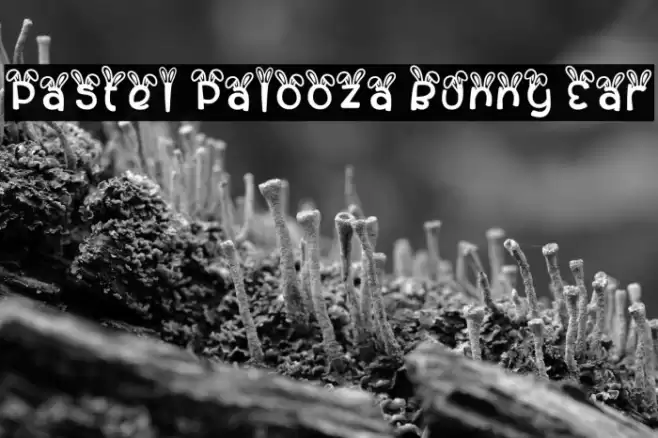 Pastel Palooza Bunny Ear Font examples
