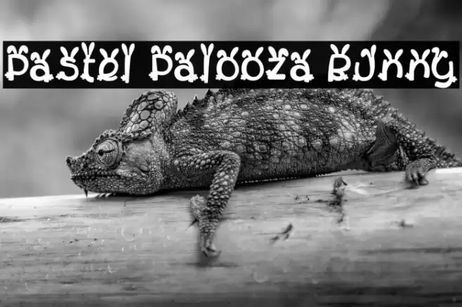 Pastel Palooza Bunny خط examples