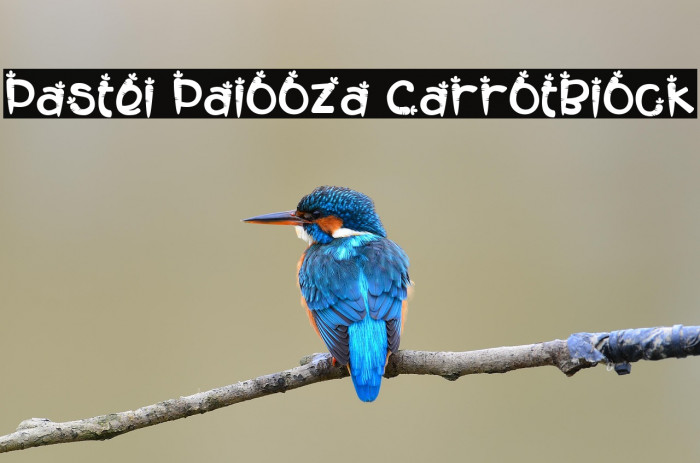 Pastel Palooza CarrotBlock Example 2