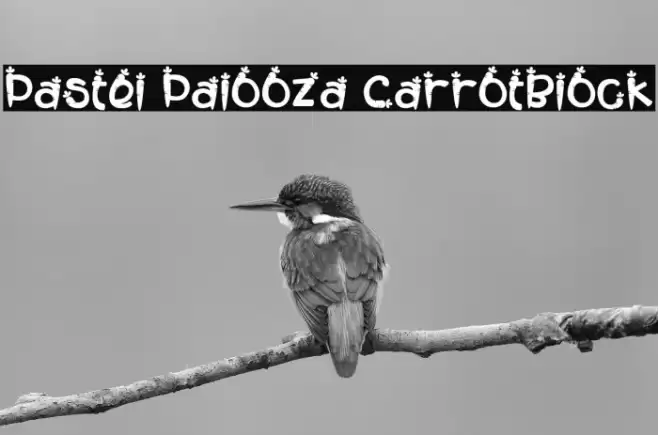 Pastel Palooza CarrotBlock Font examples