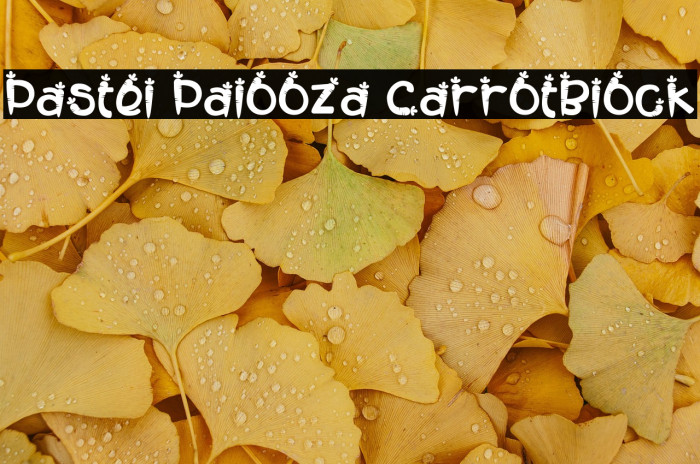 Pastel Palooza CarrotBlock Example 3