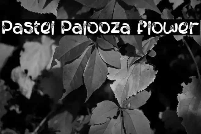 Pastel Palooza Flower خط examples