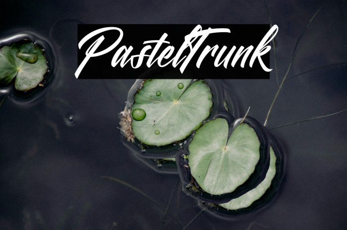 Pastel Trunk Example 2